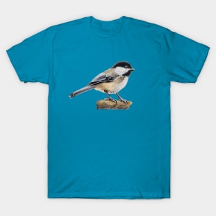 Chickadee Drawing 4 (no background) T-Shirt